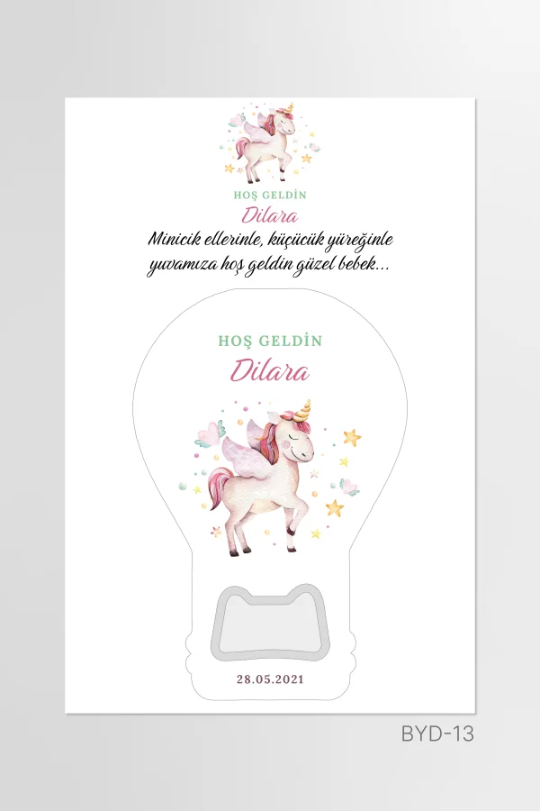 BYD13